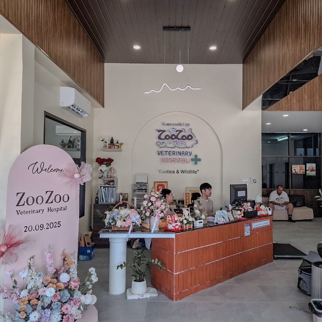 type="image/jpeg" width="600" height="800" Service